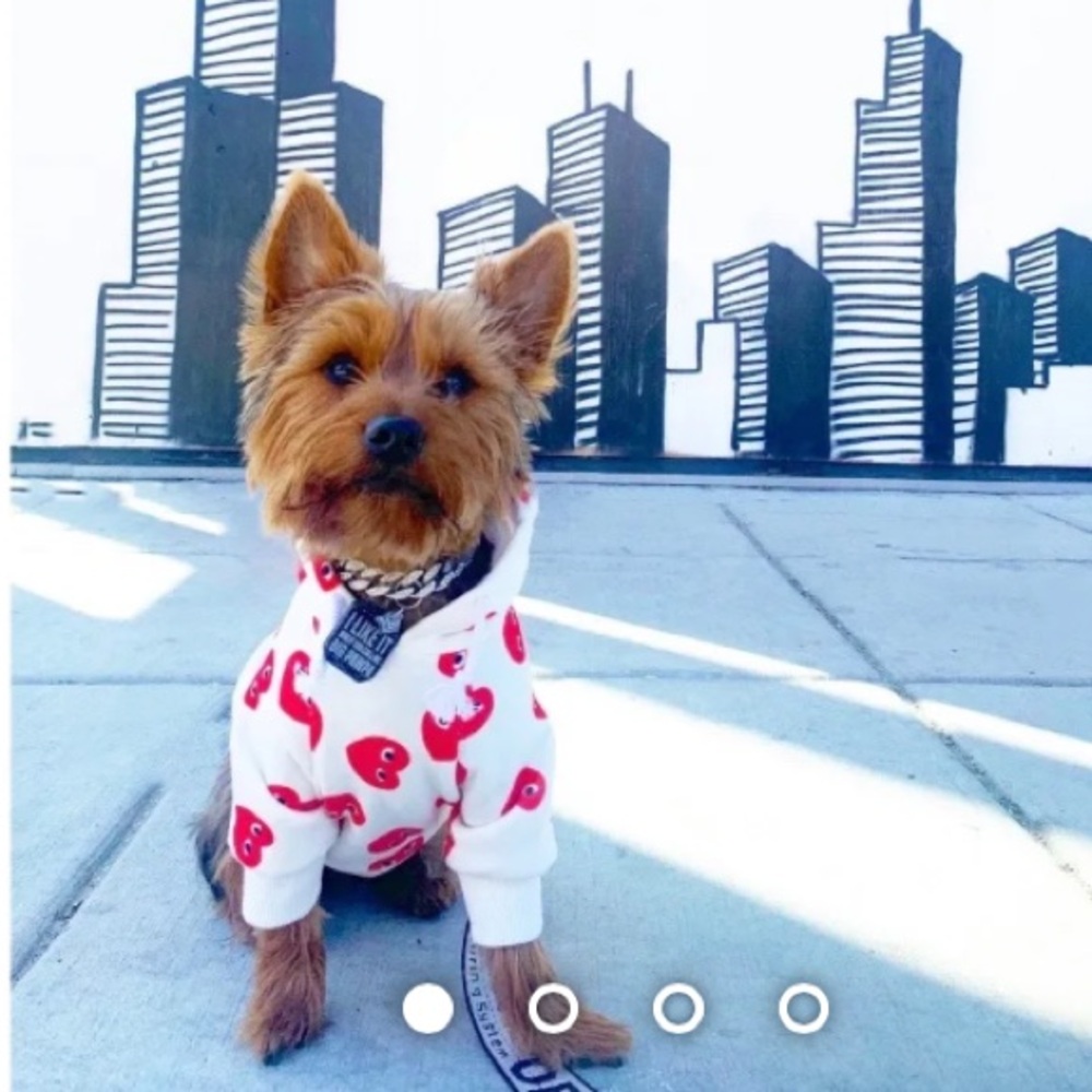 Dog hoodie with hearts CDG